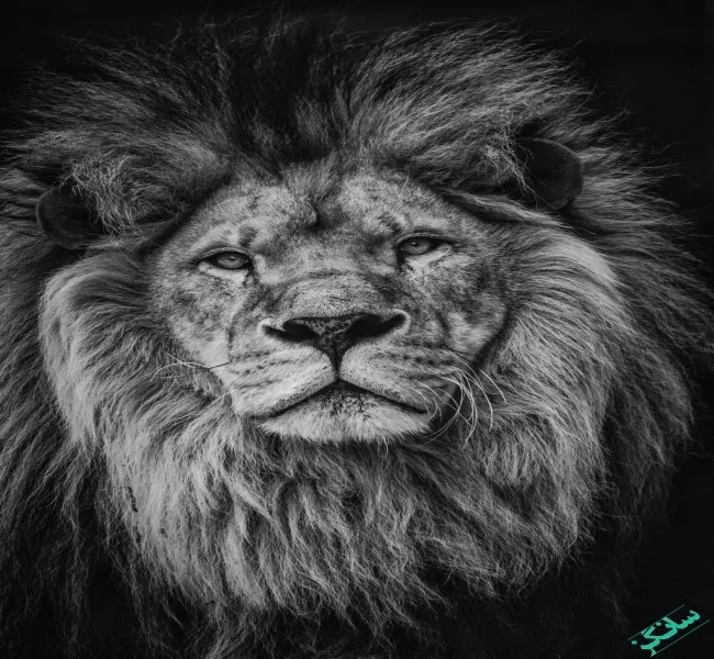 دانلود آهنگ ﻣﺪﻟﻤﻮﻧﻪ ﻣﺎ ﭘﻮﻟﻢ ﻧﺒﺎﺷﻪ ﺑﺎزم ﻫﻤﻴﻦ ﻣﺪﻟﻤﻮﻧﻪ ﻫﻤﻪ ﭼﻰ آﻳﺪﻟﻤﻮﻧﻪ میراث دانلود آهنگ ﻣﺪﻟﻤﻮﻧﻪ ﻣﺎ ﭘﻮﻟﻢ ﻧﺒﺎﺷﻪ ﺑﺎزم ﻫﻤﻴﻦ ﻣﺪﻟﻤﻮﻧﻪ ﻫﻤﻪ ﭼﻰ آﻳﺪﻟﻤﻮﻧﻪ میراث